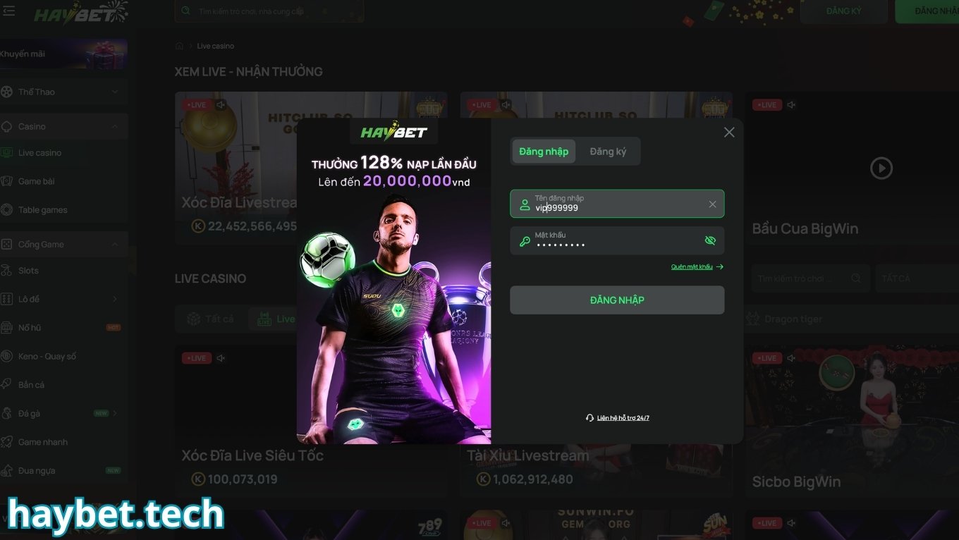 Lưu ý khi đăng nhập HAYBET