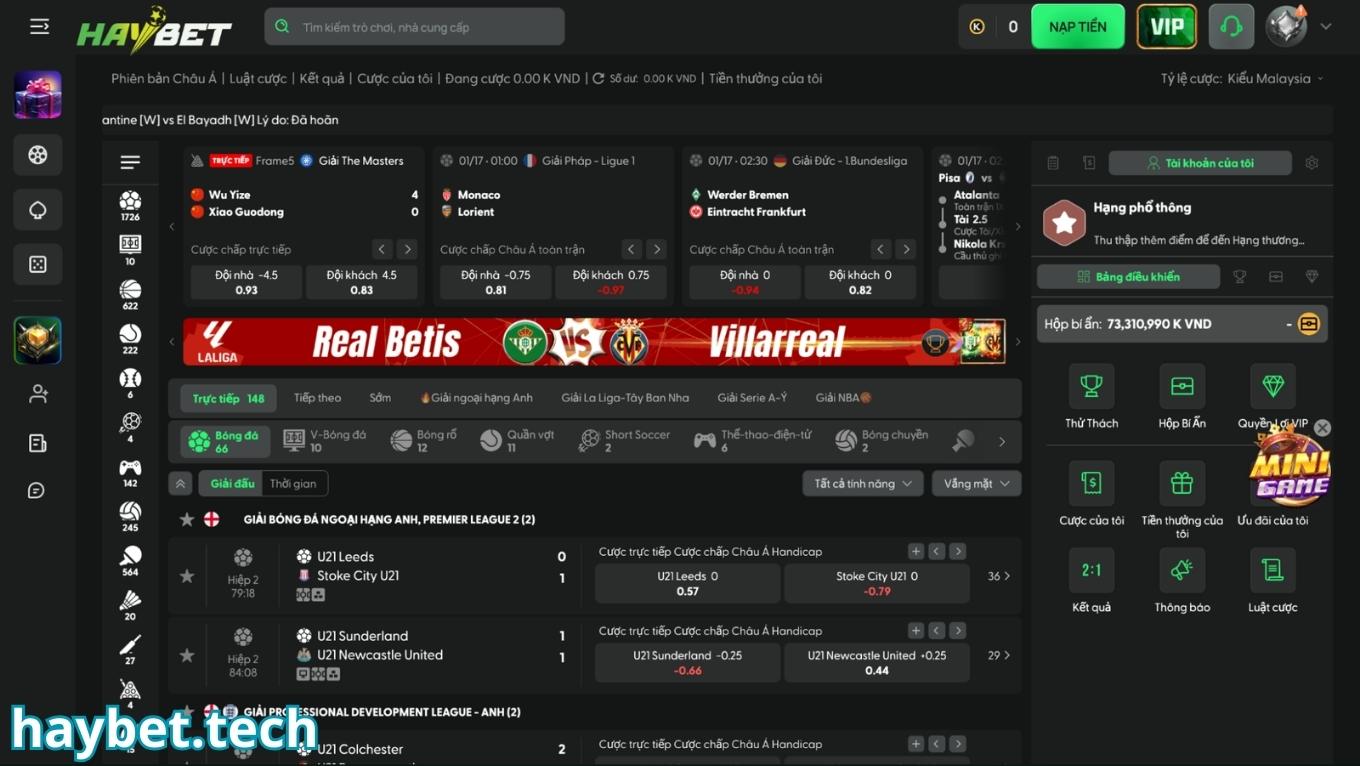 Cá cược bóng đá tại sảnh thể thao HAYBET