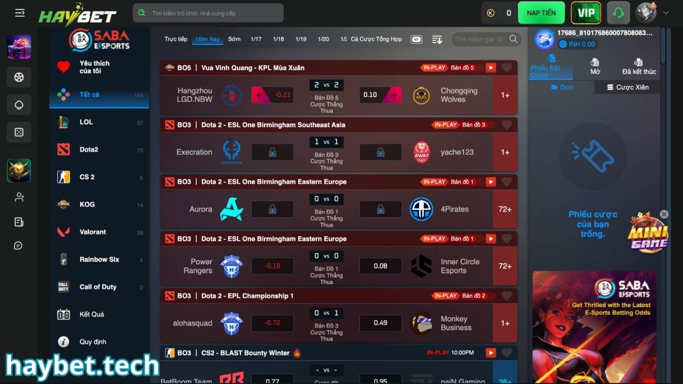 Cá cược thể thao điện tử tại sảnh thể thao HAYBET