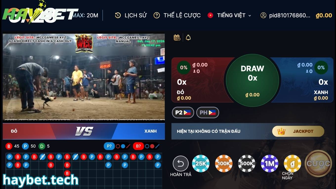 Các thể loại cược đá gà HAYBET