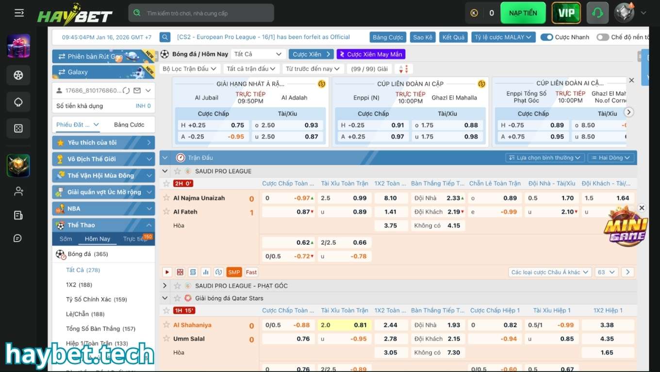Các thể loại kèo cược thể thao HAYBET