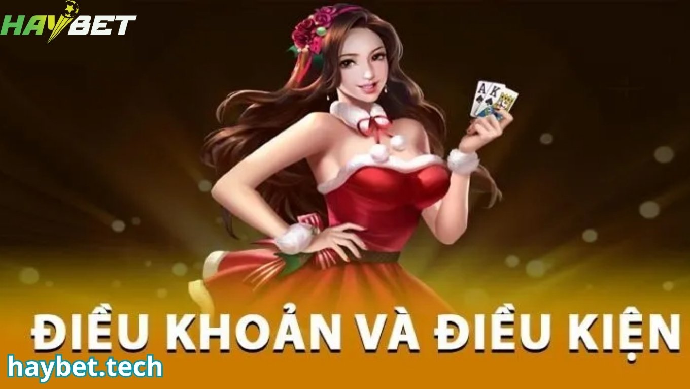 Điều khoản điều kiện HAYBET cho thành viên mới