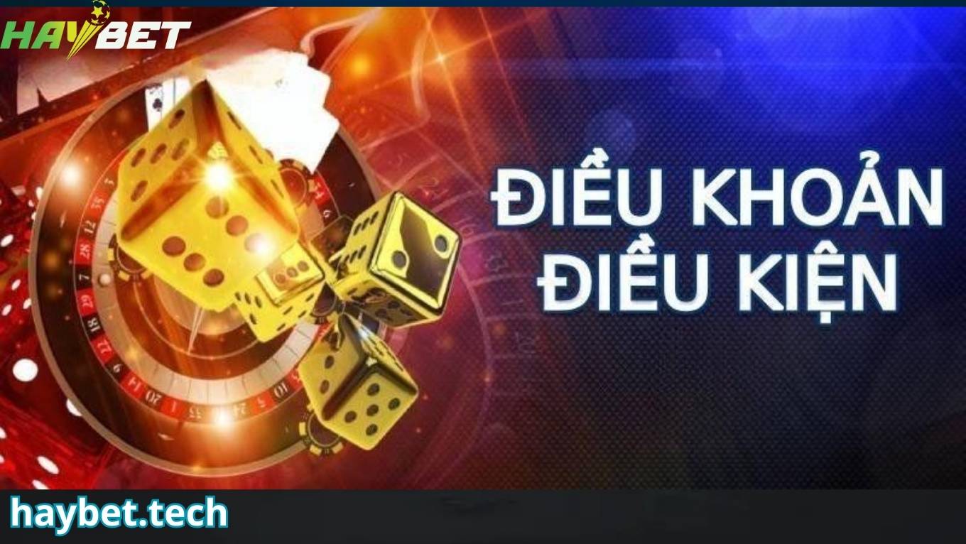 Điều khoản điều kiện HAYBET về dịch vụ và cá cược