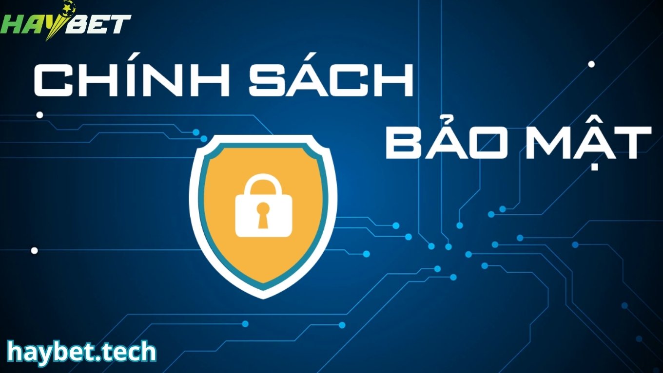 Giới thiệu chính sách bảo mật HAYBET