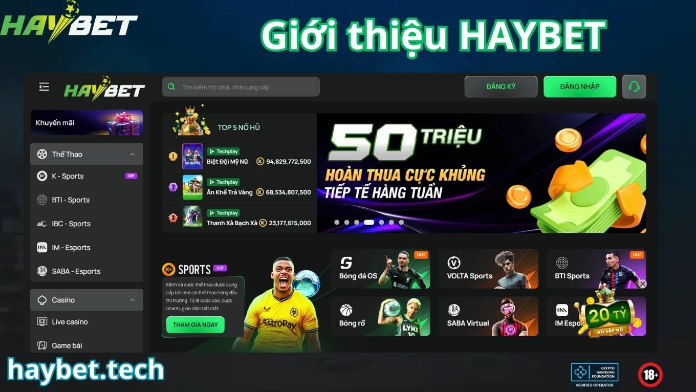 Giới thiệu HAYBET với những thông tin chính