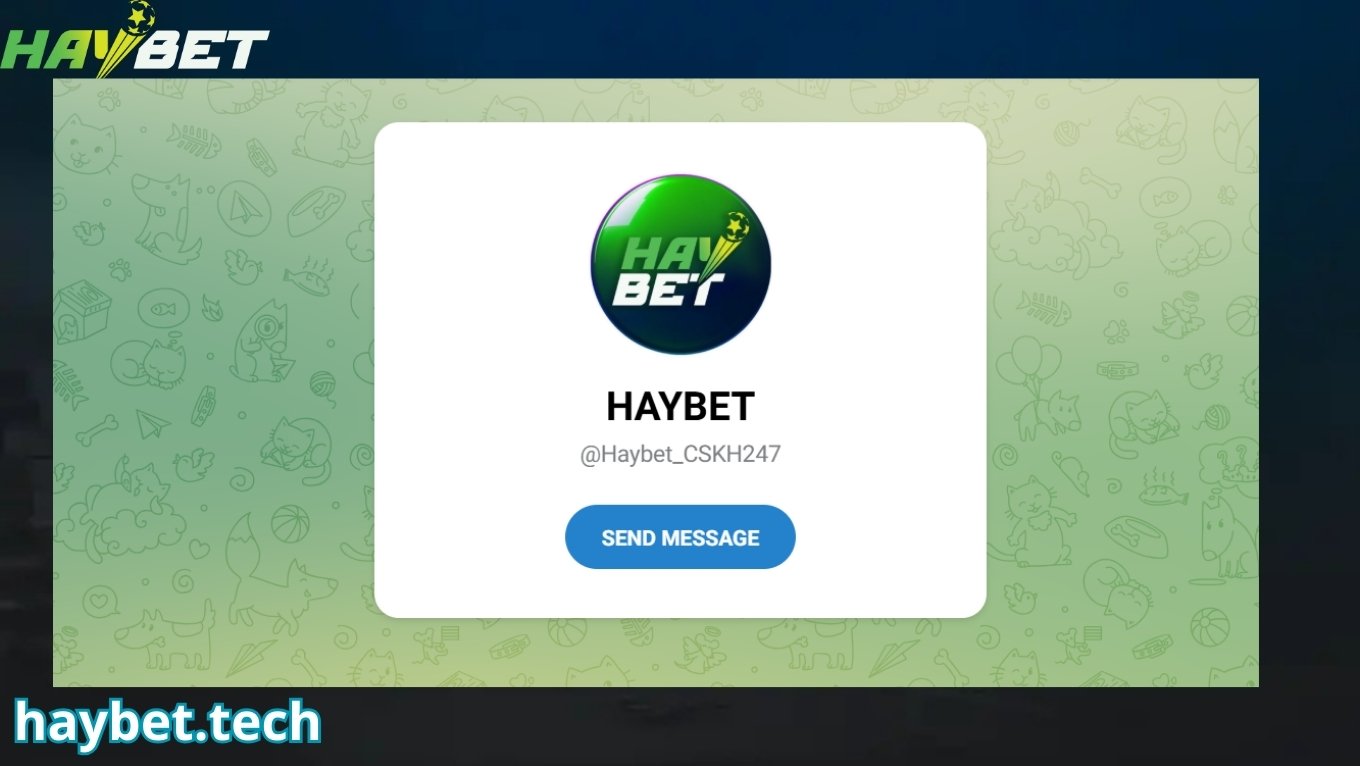 Liên hệ HAYBET qua Telegram