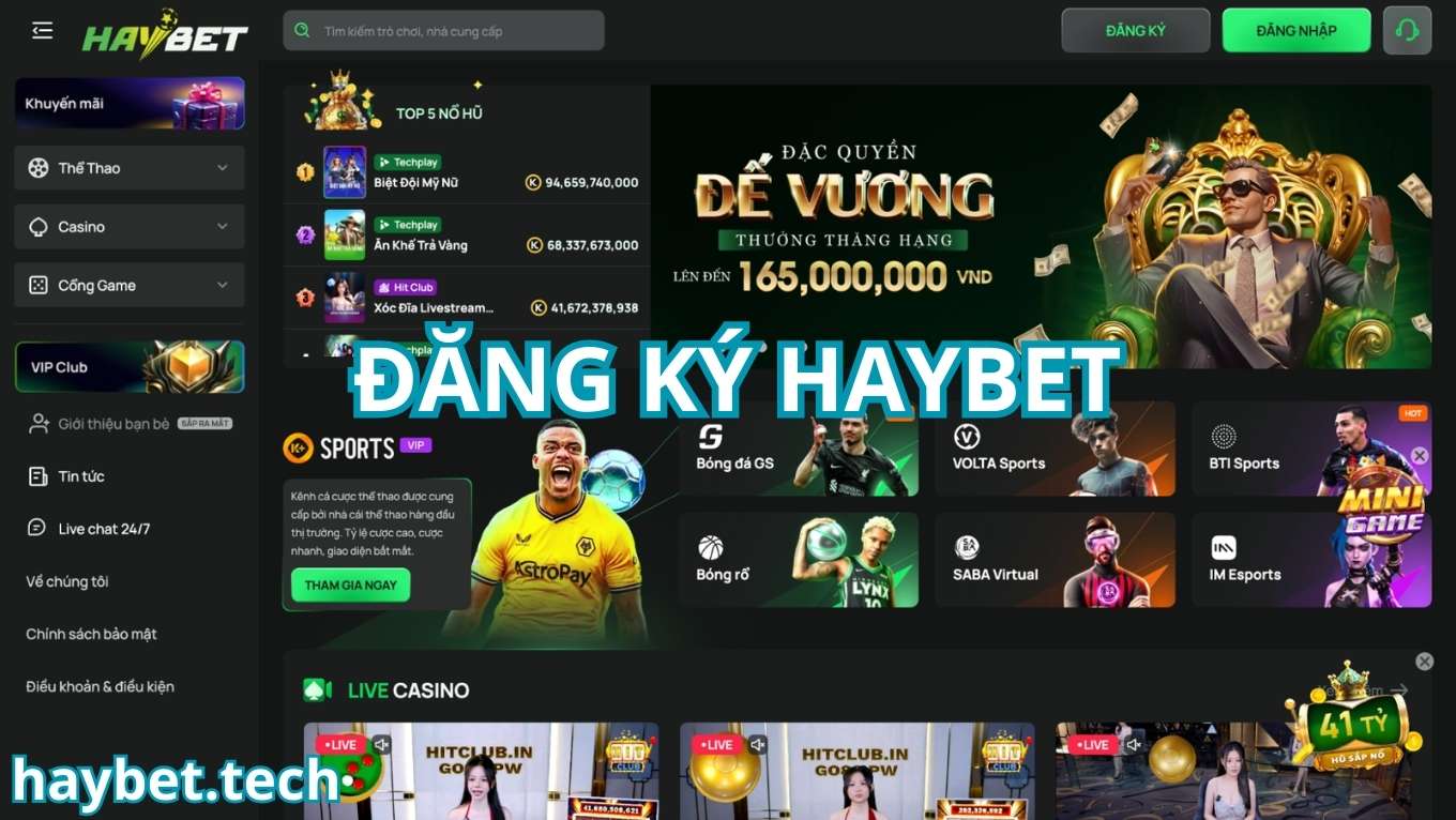 Lý do người chơi nên đăng ký HAYBET