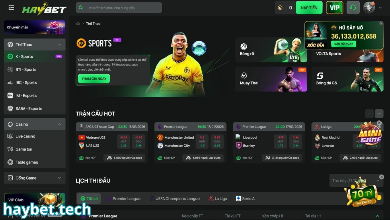 Sảnh cược thể thao HAYBET có gì hấp dẫn?